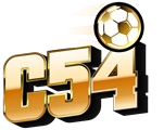 C54339